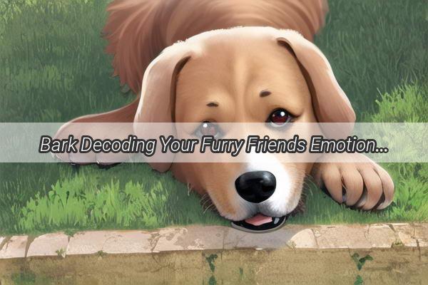 Bark Decoding Your Furry Friends Emotional Language When Your Dog growls at You What Does It Mean